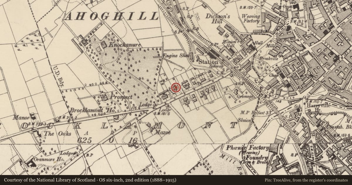 Ordnance Survey six-inch map, 2nd edition (1888–1915) covering the location of 79 Galgorm Road, Mid and East Antrim, with a pin at the register's coordinates