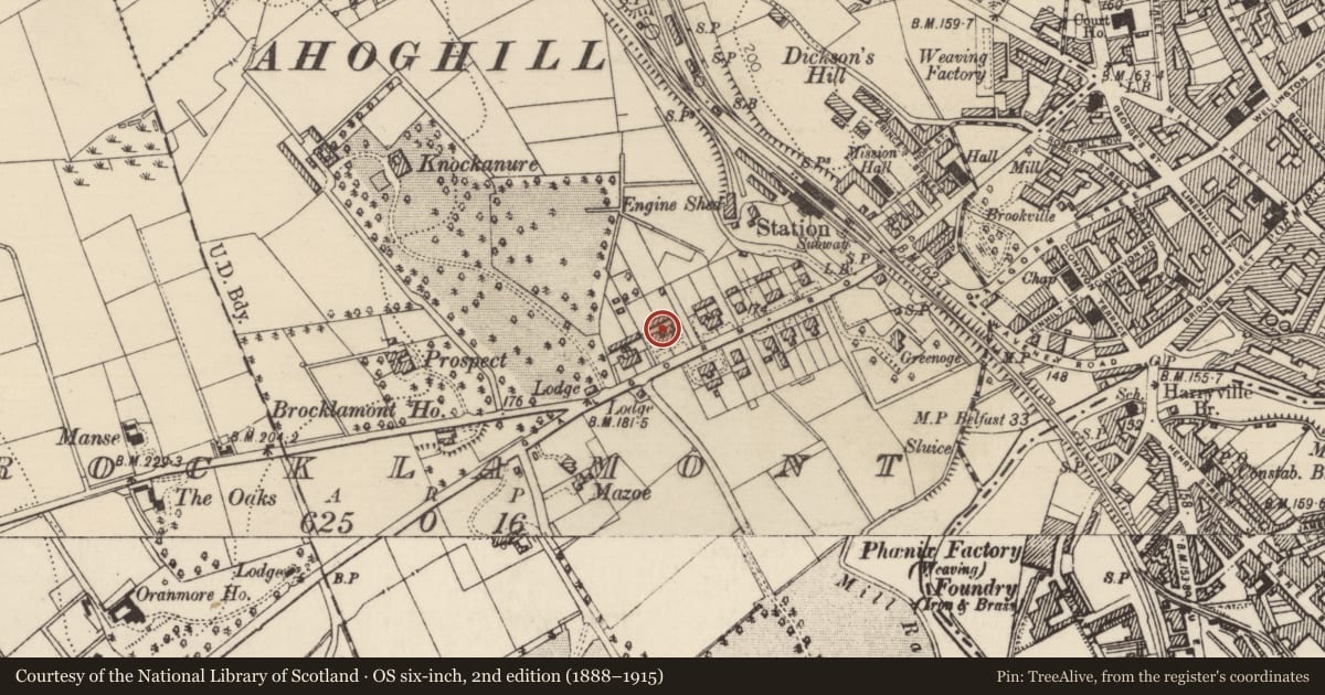 Ordnance Survey six-inch map, 2nd edition (1888–1915) covering the location of 81 Galgorm Road, Mid and East Antrim, with a pin at the register's coordinates