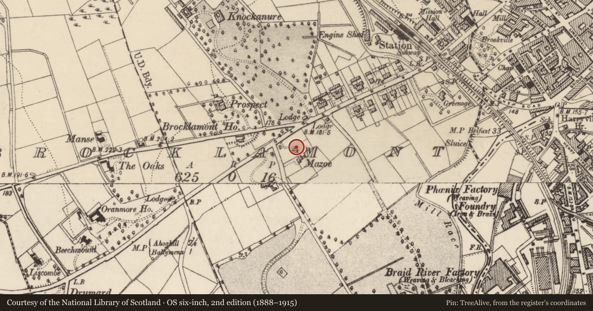 Ordnance Survey six-inch map, 2nd edition (1888–1915) covering the location of Red Dyke, Mid and East Antrim, with a pin at the register's coordinates