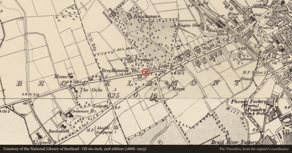 Ordnance Survey six-inch map, 2nd edition (1888–1915) covering the location of Brocklamont House, Mid and East Antrim, with a pin at the register's coordinates