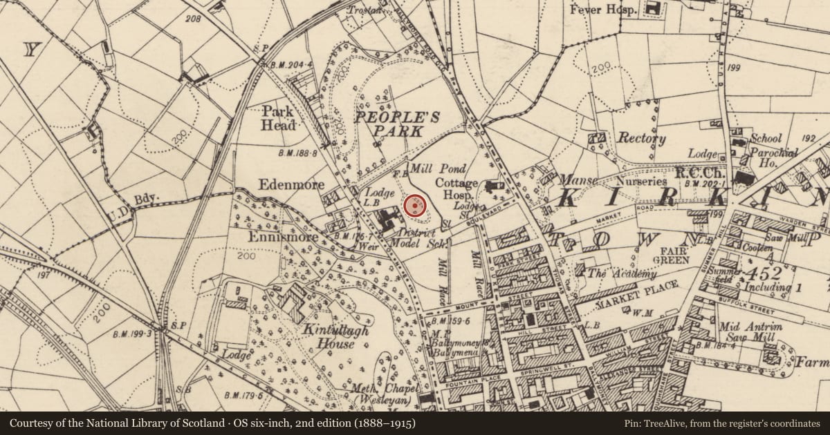 Ordnance Survey six-inch map, 2nd edition (1888–1915) covering the location of Statue Of Armed Science, Mid and East Antrim, with a pin at the register's coordinates