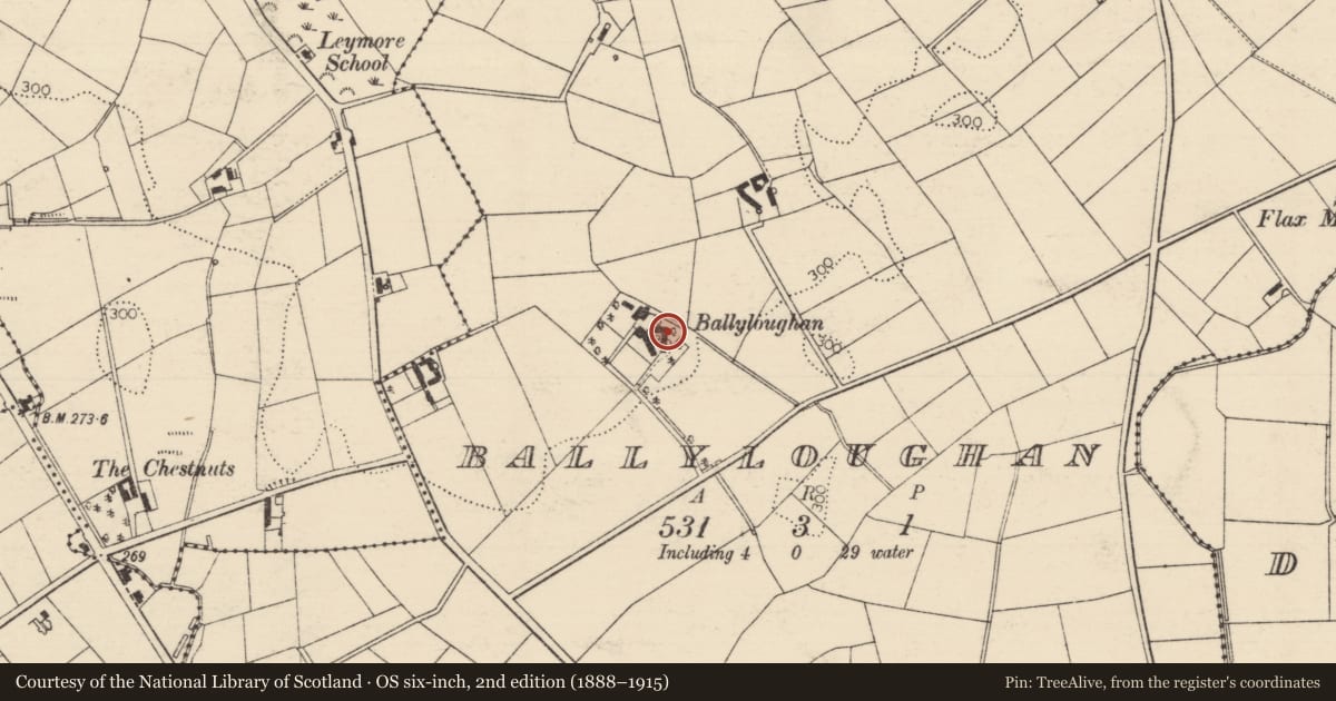 Ordnance Survey six-inch map, 2nd edition (1888–1915) covering the location of Ballyloughan House, Mid and East Antrim, with a pin at the register's coordinates