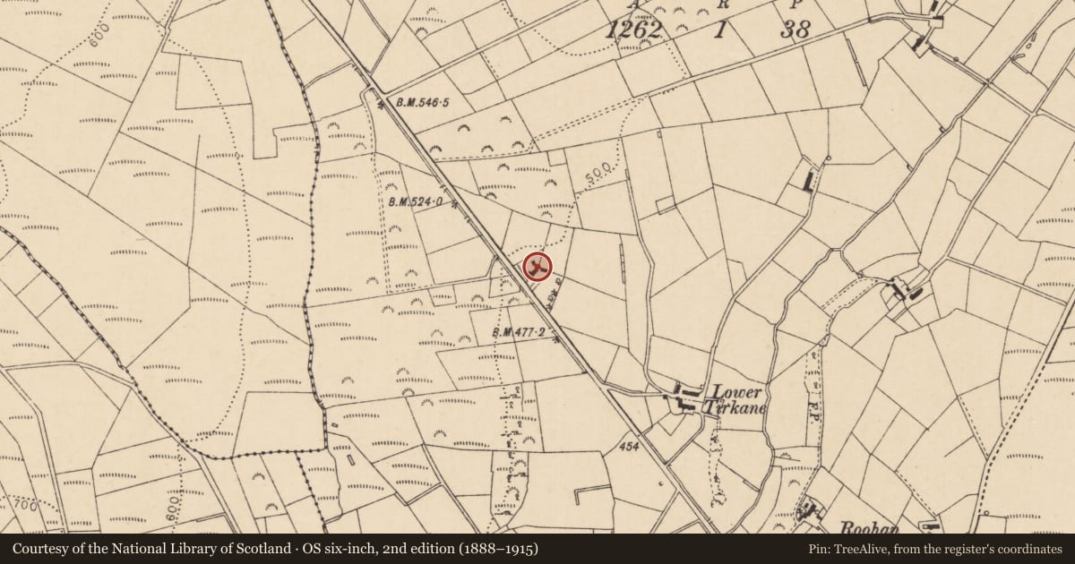 Ordnance Survey six-inch map, 2nd edition (1888–1915) covering the location of 139 Tirkane Road, Mid Ulster, with a pin at the register's coordinates