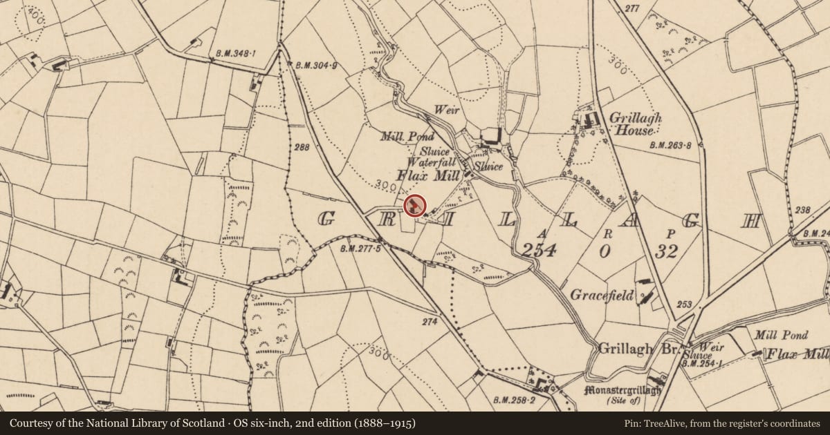 Ordnance Survey six-inch map, 2nd edition (1888–1915) covering the location of 9 Grillagh Road, Mid Ulster, with a pin at the register's coordinates
