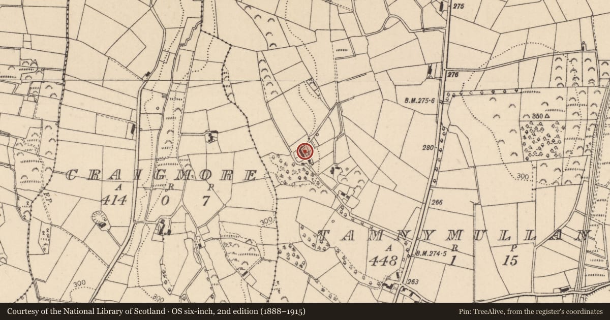 Ordnance Survey six-inch map, 2nd edition (1888–1915) covering the location of 15 Tamnymullan Lane, Mid Ulster, with a pin at the register's coordinates