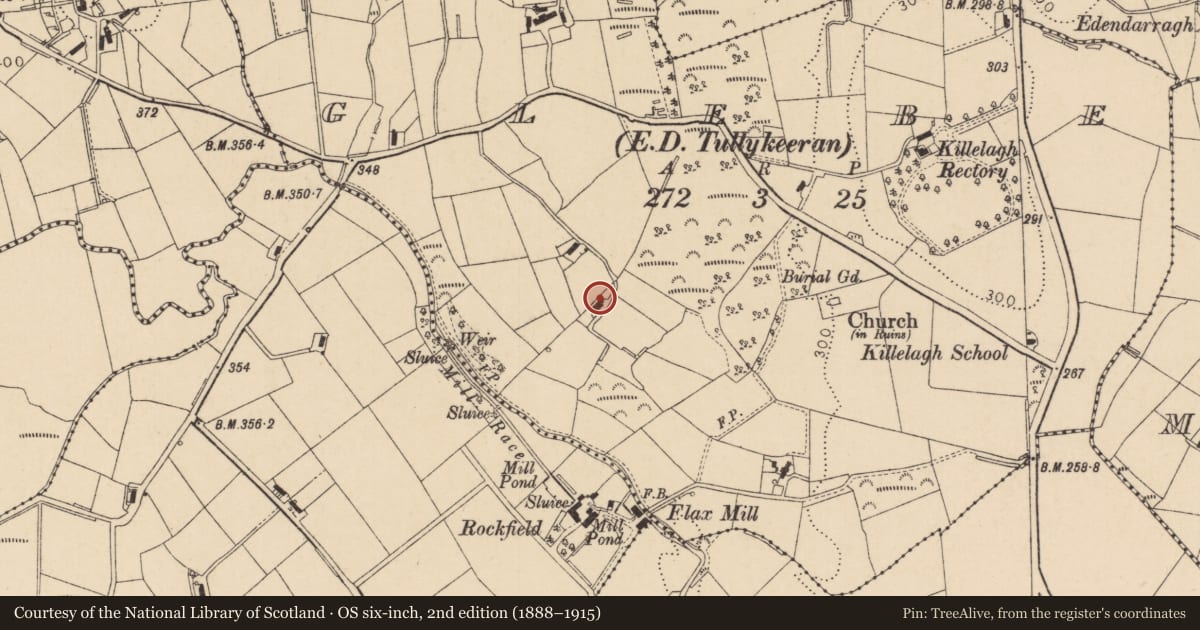 Ordnance Survey six-inch map, 2nd edition (1888–1915) covering the location of 14 Gortinure Road, Glebe, Mid Ulster, with a pin at the register's coordinates