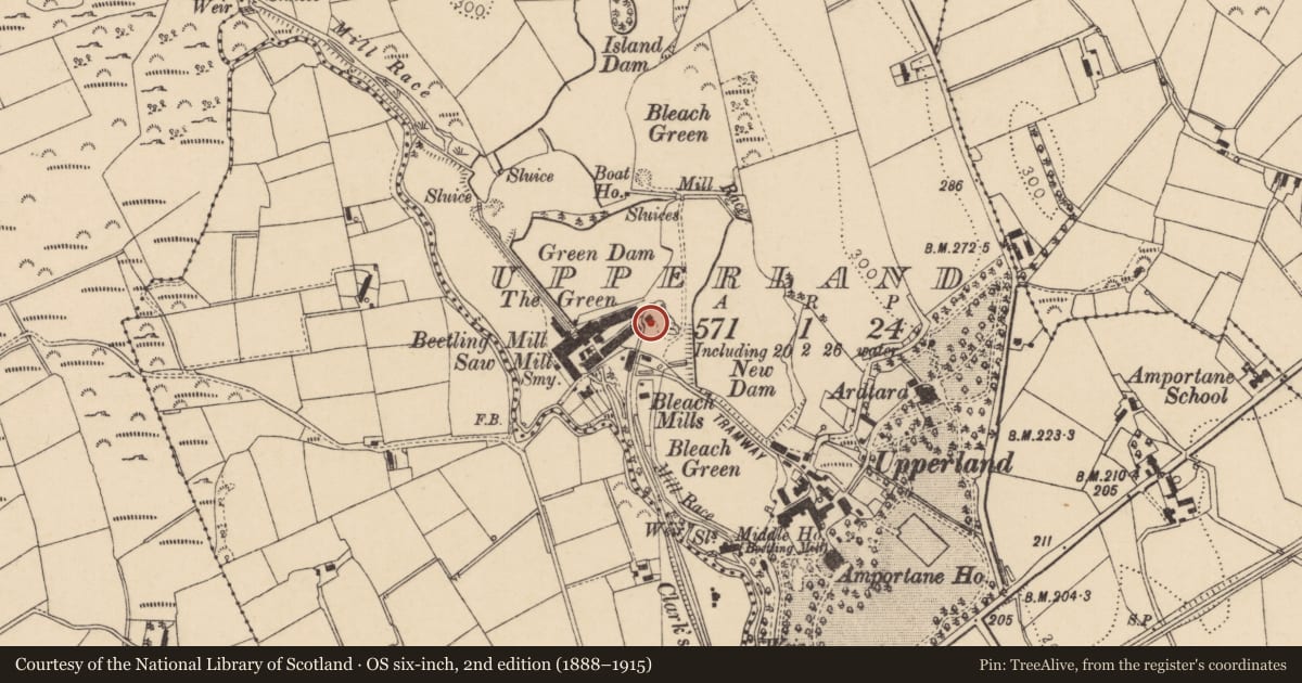 Ordnance Survey six-inch map, 2nd edition (1888–1915) covering the location of William Clark & Sons Ltd Mill Complex (Excluding Old Mill), Upperlands, Mid Ulster, with a pin at the register's coordinates