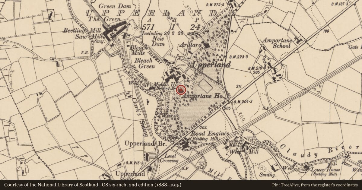 Ordnance Survey six-inch map, 2nd edition (1888–1915) covering the location of Ampertain House, Mid Ulster, with a pin at the register's coordinates