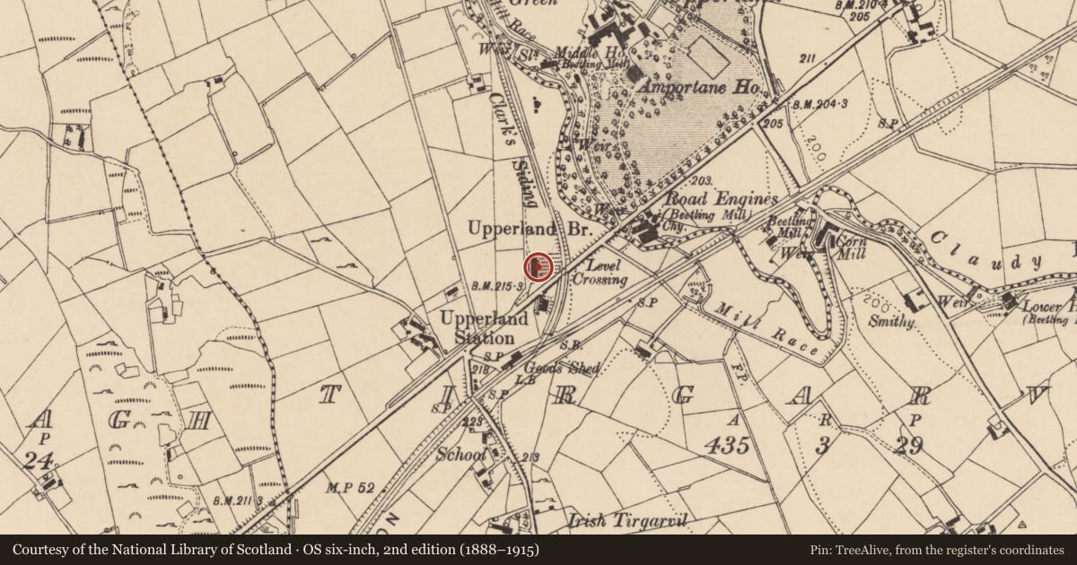 Ordnance Survey six-inch map, 2nd edition (1888–1915) covering the location of 2 Boyne Row, Mid Ulster, with a pin at the register's coordinates