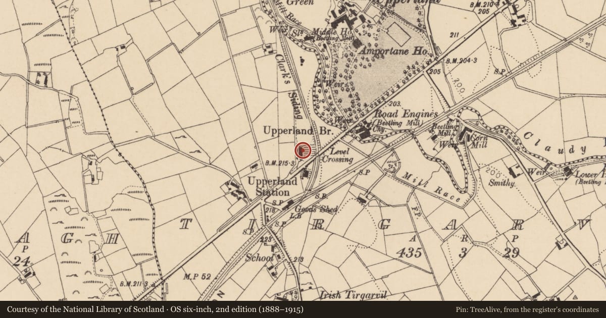 Ordnance Survey six-inch map, 2nd edition (1888–1915) covering the location of 3 Boyne Row, Mid Ulster, with a pin at the register's coordinates