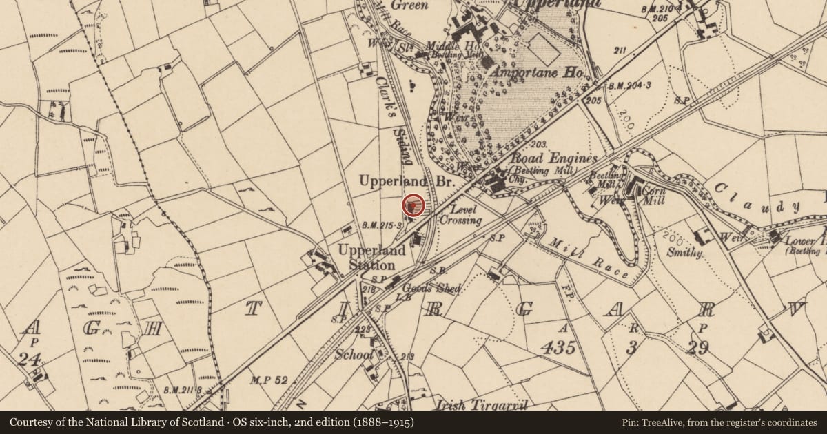 Ordnance Survey six-inch map, 2nd edition (1888–1915) covering the location of 4 Boyne Row, Mid Ulster, with a pin at the register's coordinates