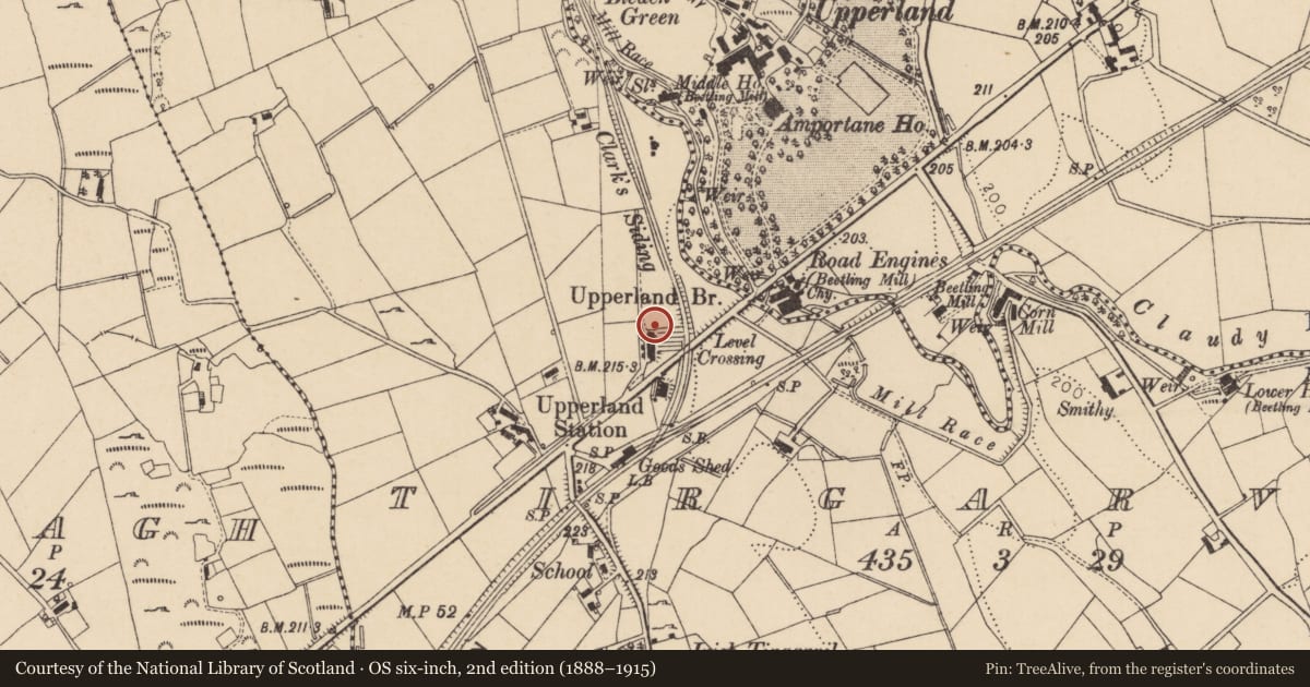 Ordnance Survey six-inch map, 2nd edition (1888–1915) covering the location of 6 Boyne Row, Mid Ulster, with a pin at the register's coordinates