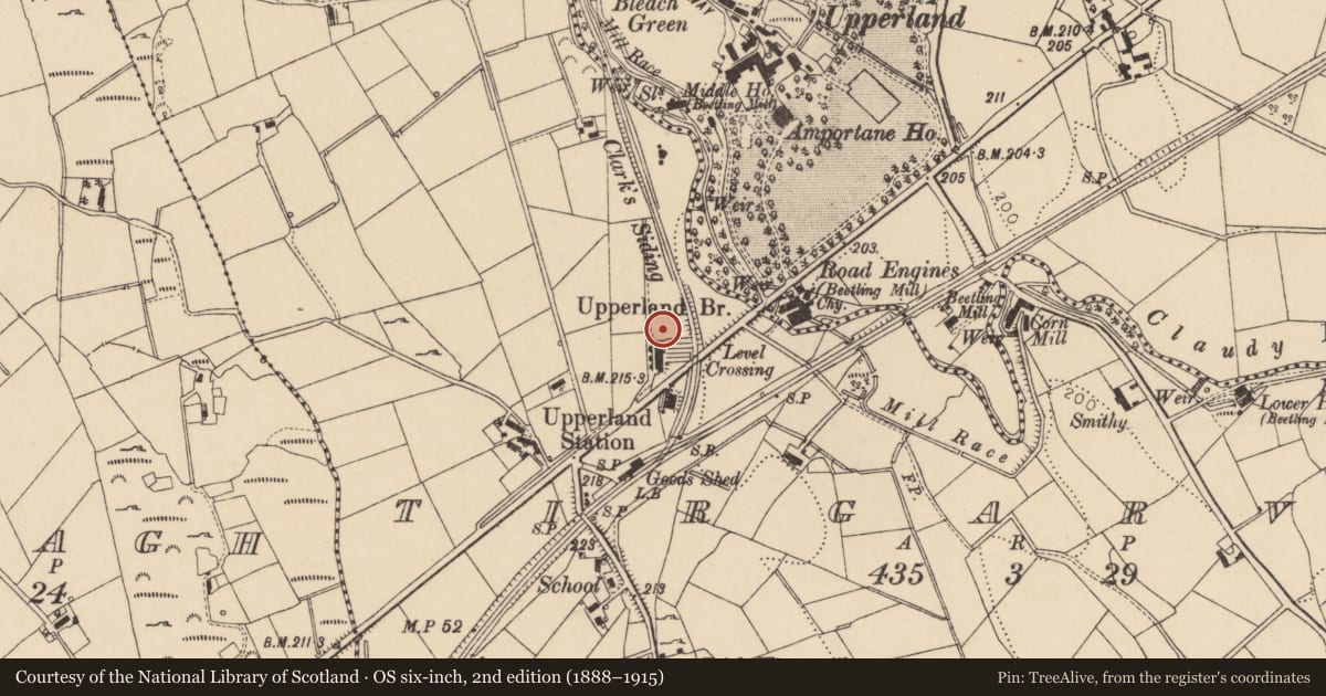 Ordnance Survey six-inch map, 2nd edition (1888–1915) covering the location of 7 Boyne Row, Mid Ulster, with a pin at the register's coordinates