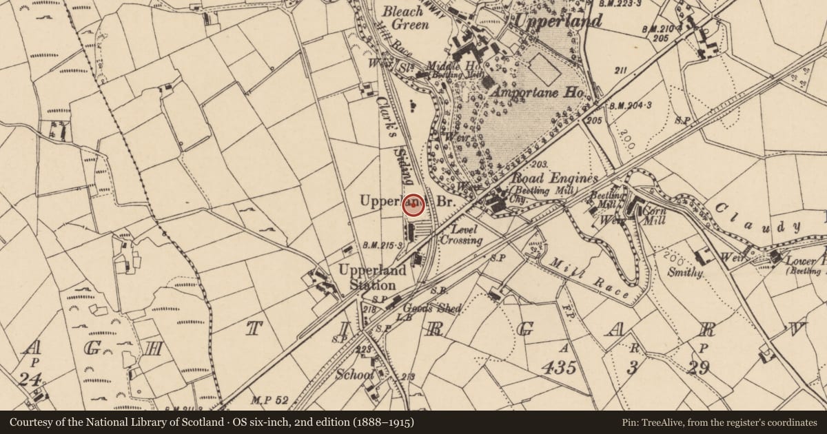 Ordnance Survey six-inch map, 2nd edition (1888–1915) covering the location of 11 Boyne Row, Mid Ulster, with a pin at the register's coordinates