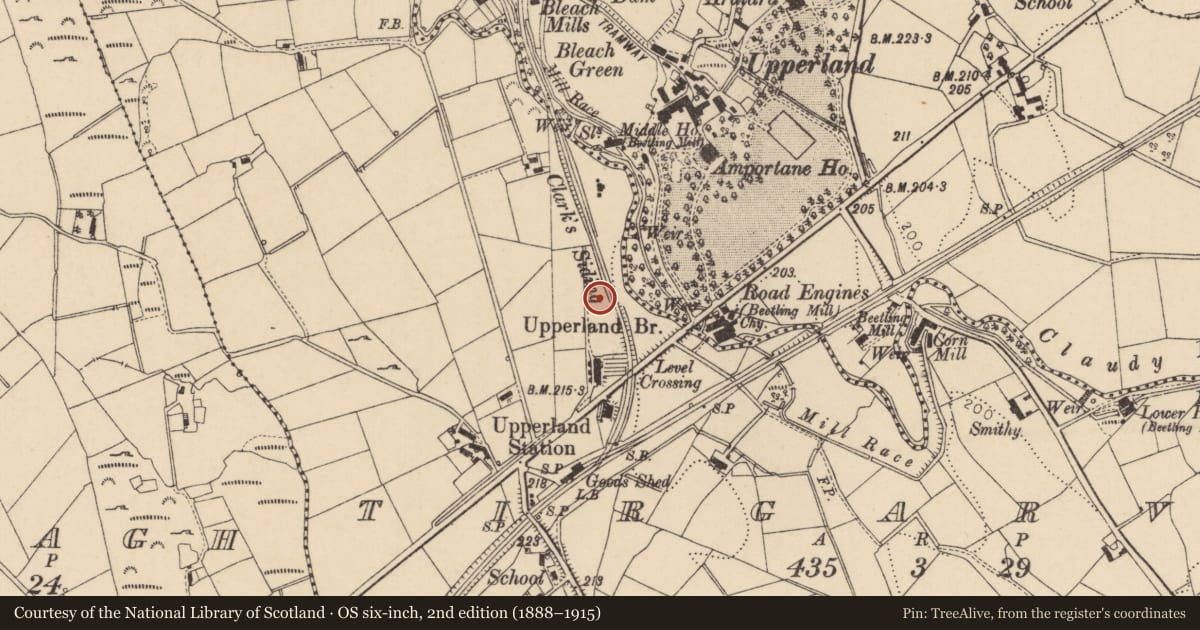 Ordnance Survey six-inch map, 2nd edition (1888–1915) covering the location of 19 Boyne Row, Mid Ulster, with a pin at the register's coordinates