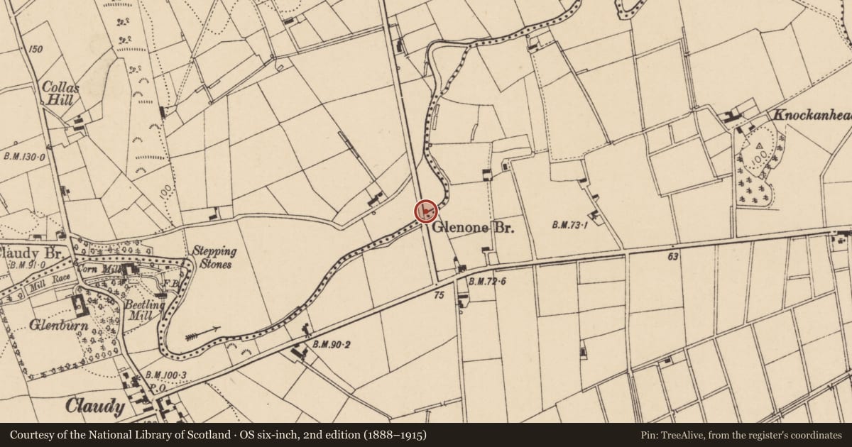 Ordnance Survey six-inch map, 2nd edition (1888–1915) covering the location of Glenone Bridge, Mid Ulster, with a pin at the register's coordinates