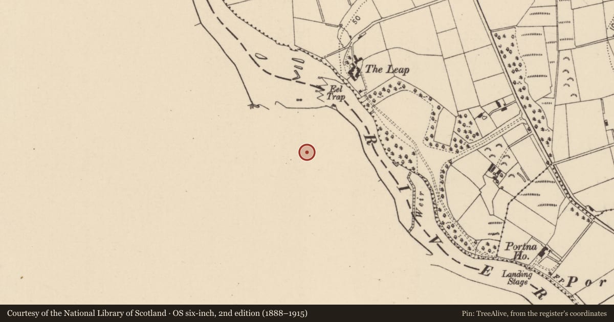 Ordnance Survey six-inch map, 2nd edition (1888–1915) covering the location of Locks Portna, Mid Ulster, with a pin at the register's coordinates