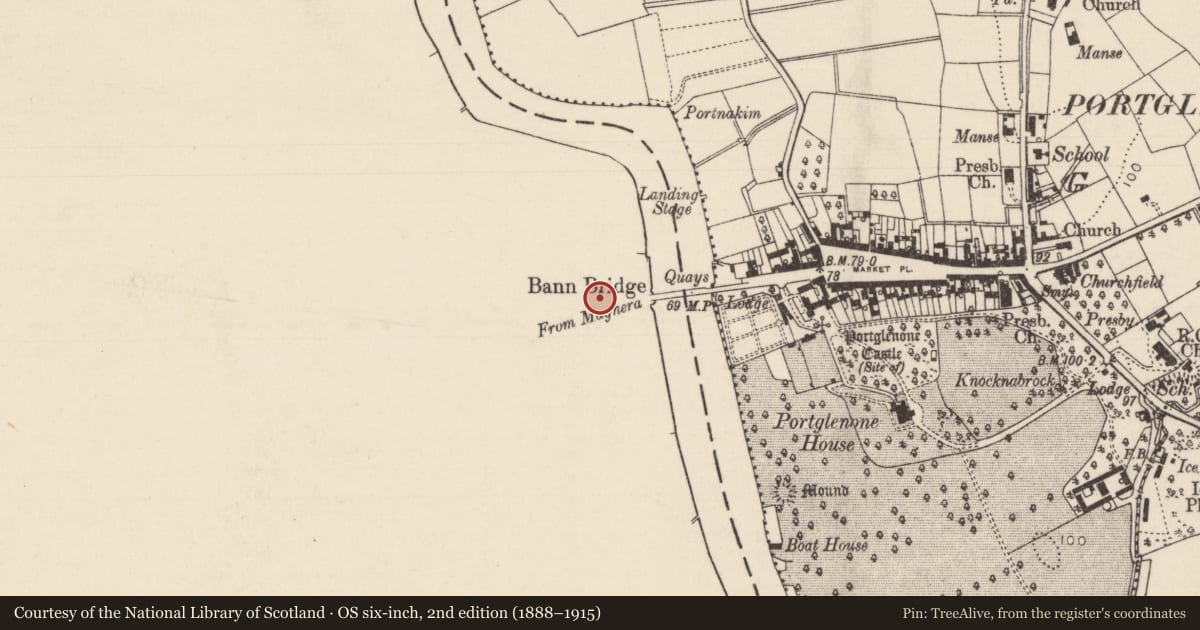 Ordnance Survey six-inch map, 2nd edition (1888–1915) covering the location of 8-12 Clady Road, Glenone, Mid Ulster, with a pin at the register's coordinates