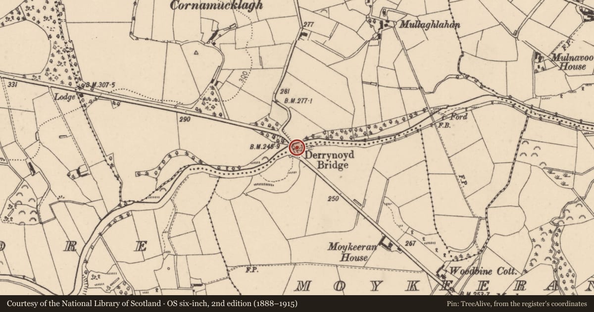 Ordnance Survey six-inch map, 2nd edition (1888–1915) covering the location of Derrynoyd Bridge, Mid Ulster, with a pin at the register's coordinates