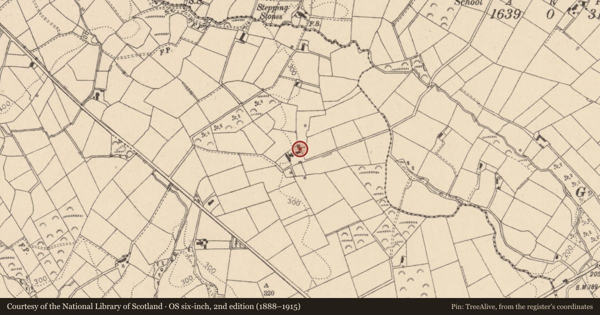 Ordnance Survey six-inch map, 2nd edition (1888–1915) covering the location of 21 Fallagloon Road, Mid Ulster, with a pin at the register's coordinates