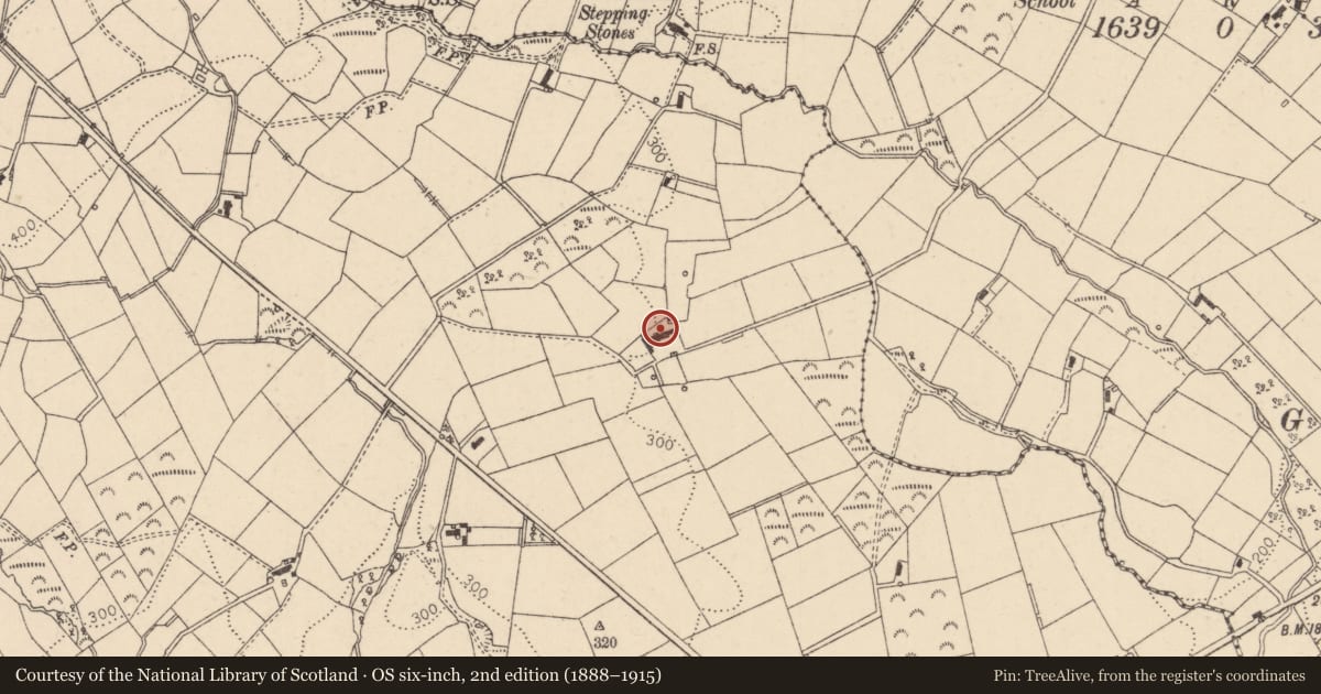 Ordnance Survey six-inch map, 2nd edition (1888–1915) covering the location of 23 Fallagloon Road, Mid Ulster, with a pin at the register's coordinates