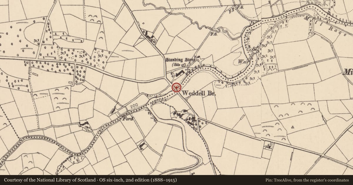 Ordnance Survey six-inch map, 2nd edition (1888–1915) covering the location of Weddell Bridge, Mid Ulster, with a pin at the register's coordinates