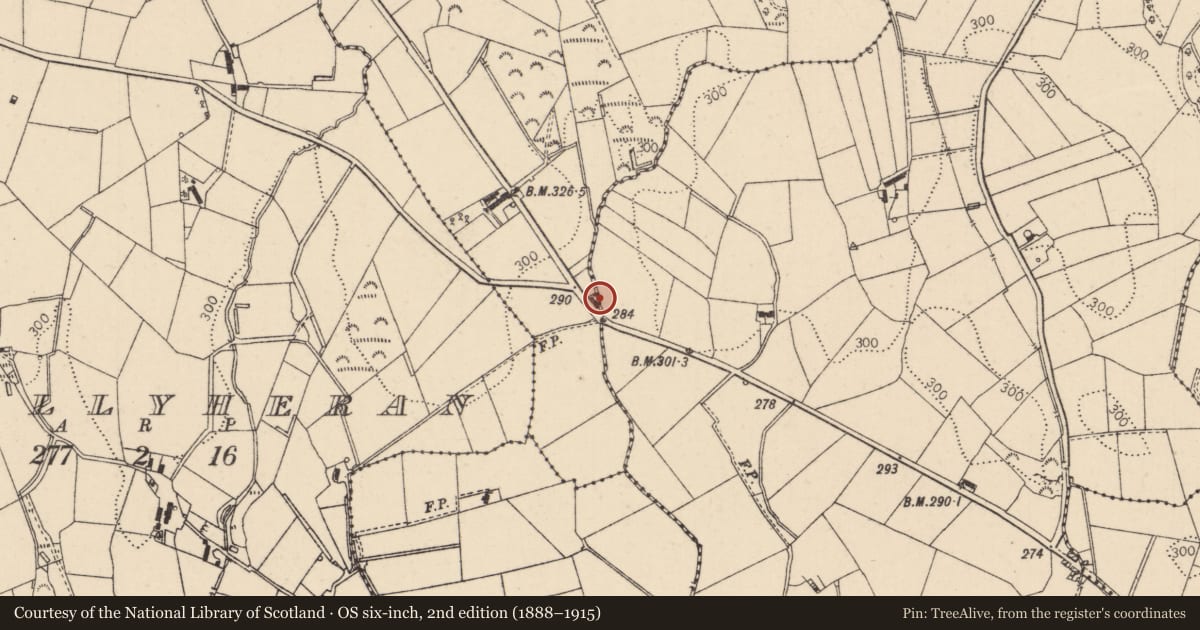 Ordnance Survey six-inch map, 2nd edition (1888–1915) covering the location of 89 Tirkane Road, Tullyheran, Mid Ulster, with a pin at the register's coordinates