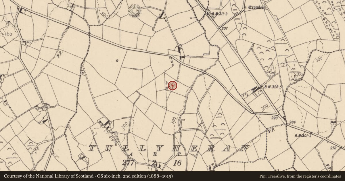 Ordnance Survey six-inch map, 2nd edition (1888–1915) covering the location of 20 Ranaghan Road, Tullyheran, Mid Ulster, with a pin at the register's coordinates