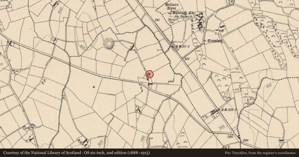 Ordnance Survey six-inch map, 2nd edition (1888–1915) covering the location of 19 Ranaghan Road, Tullyheran, Mid Ulster, with a pin at the register's coordinates