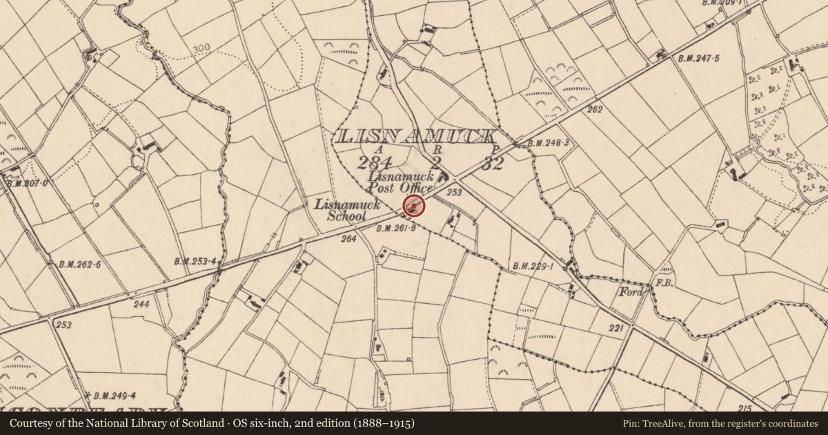 Ordnance Survey six-inch map, 2nd edition (1888–1915) covering the location of Lisnamuck Primary School, Mid Ulster, with a pin at the register's coordinates