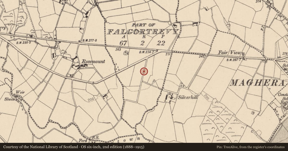 Ordnance Survey six-inch map, 2nd edition (1888–1915) covering the location of Cow Tail Pump, 120A Glen Road, Maghera, BT46 5JG, Falgortrevy, Mid Ulster, with a pin at the register's coordinates