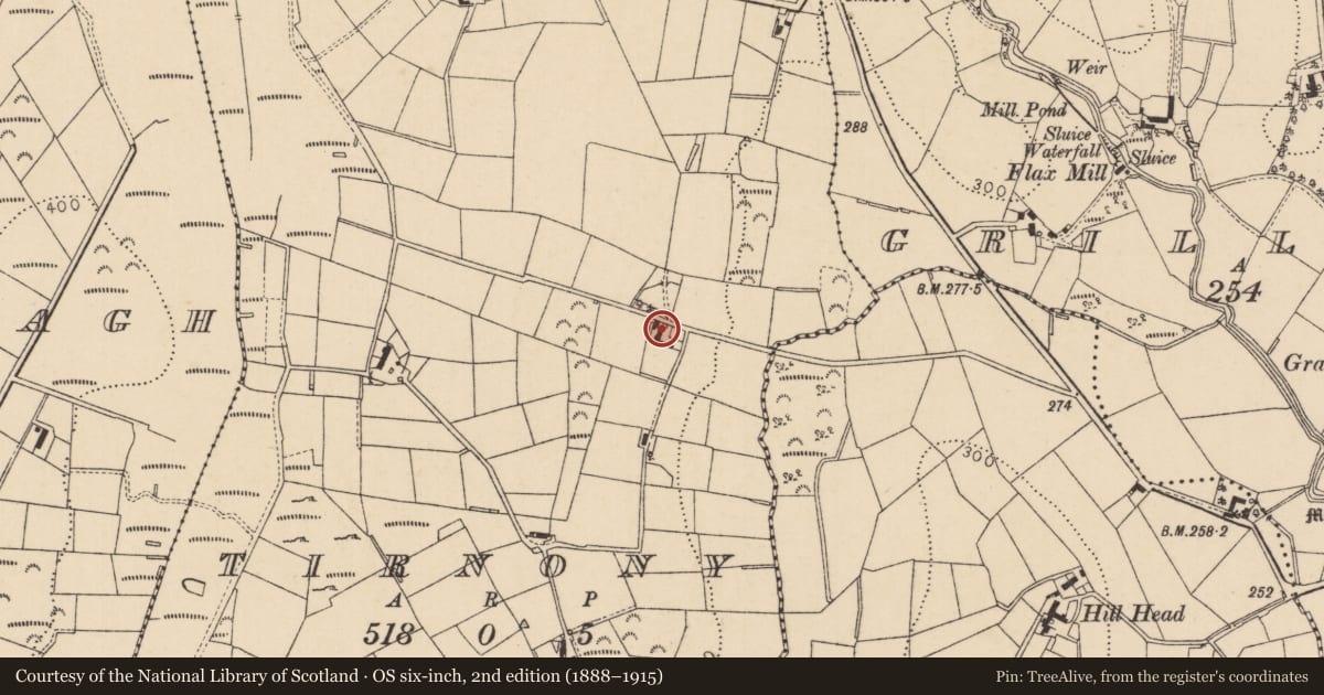 Ordnance Survey six-inch map, 2nd edition (1888–1915) covering the location of 47 Tirnony Road, Tirnoney, Mid Ulster, with a pin at the register's coordinates