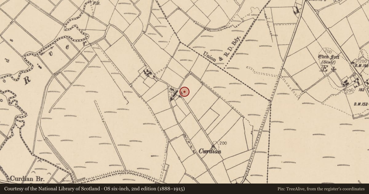 Ordnance Survey six-inch map, 2nd edition (1888–1915) covering the location of 58 Dreenan Road, Mid Ulster, with a pin at the register's coordinates