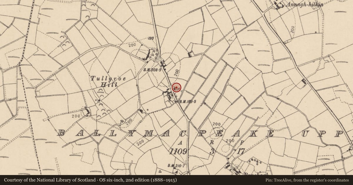 Ordnance Survey six-inch map, 2nd edition (1888–1915) covering the location of Pump sited opposite 124 Mullaghboy Road, Ballymacpeake Upper, Mid Ulster, with a pin at the register's coordinates