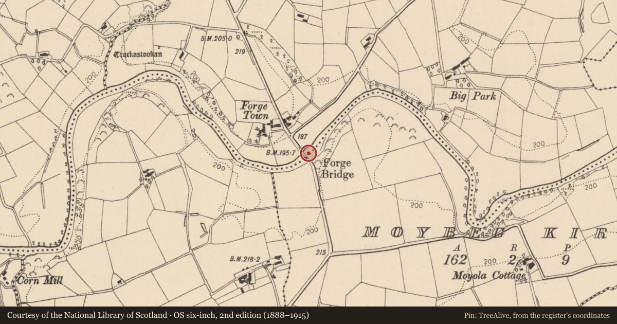 Ordnance Survey six-inch map, 2nd edition (1888–1915) covering the location of Forge Bridge, Mid Ulster, with a pin at the register's coordinates