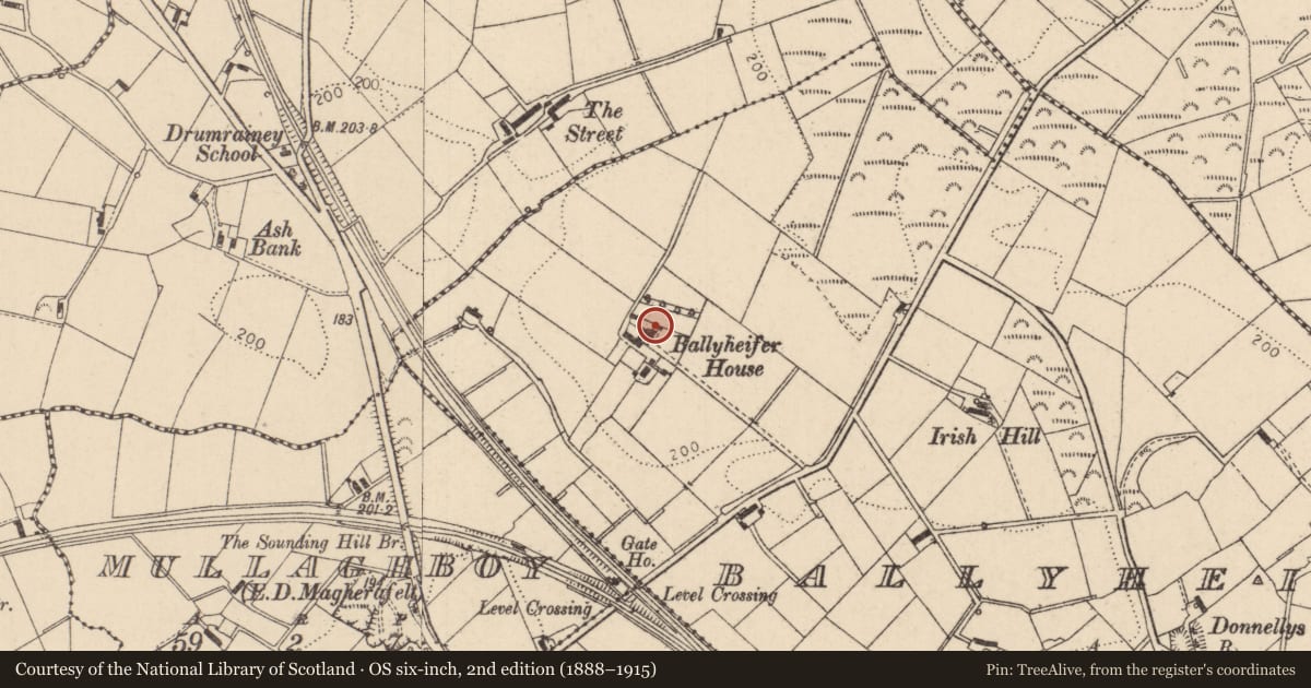 Ordnance Survey six-inch map, 2nd edition (1888–1915) covering the location of Ballyheifer House, Mid Ulster, with a pin at the register's coordinates