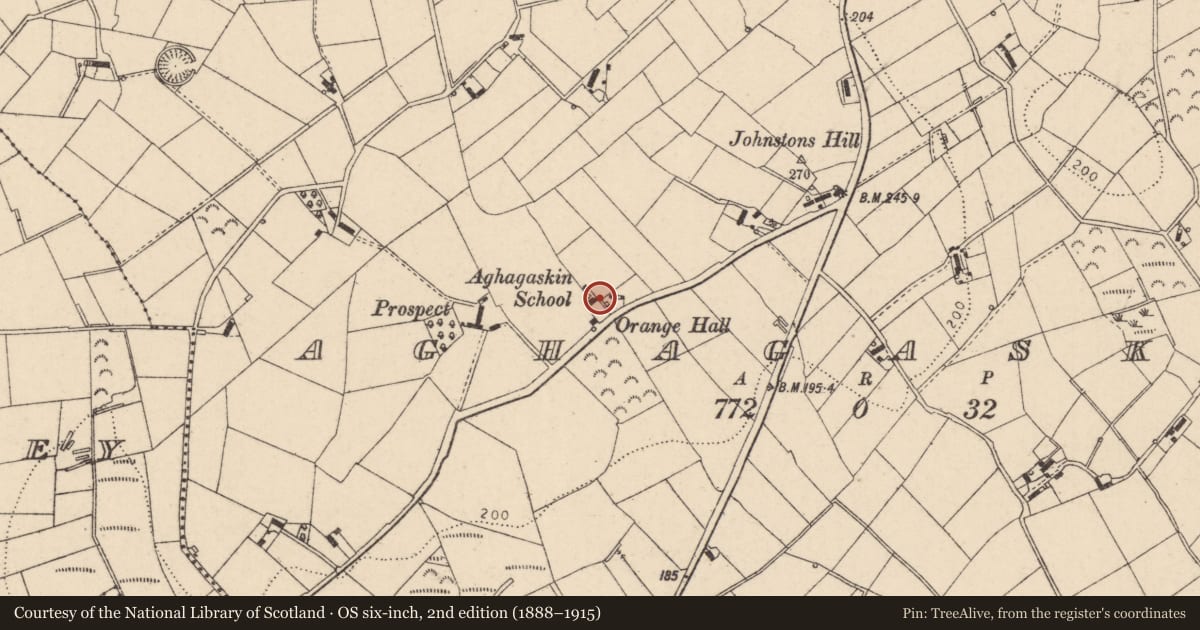 Ordnance Survey six-inch map, 2nd edition (1888–1915) covering the location of Orange Hall, Mid Ulster, with a pin at the register's coordinates