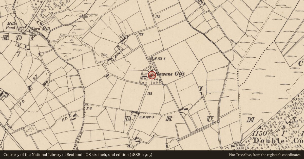 Ordnance Survey six-inch map, 2nd edition (1888–1915) covering the location of Rowan'S Gift, Mid Ulster, with a pin at the register's coordinates
