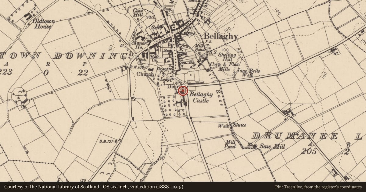 Ordnance Survey six-inch map, 2nd edition (1888–1915) covering the location of Bellaghy Castle, Old Town Deerpark, Mid Ulster, with a pin at the register's coordinates
