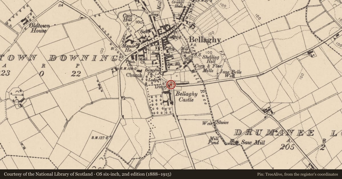 Ordnance Survey six-inch map, 2nd edition (1888–1915) covering the location of Craigs House, Old Town Deerpark, Mid Ulster, with a pin at the register's coordinates