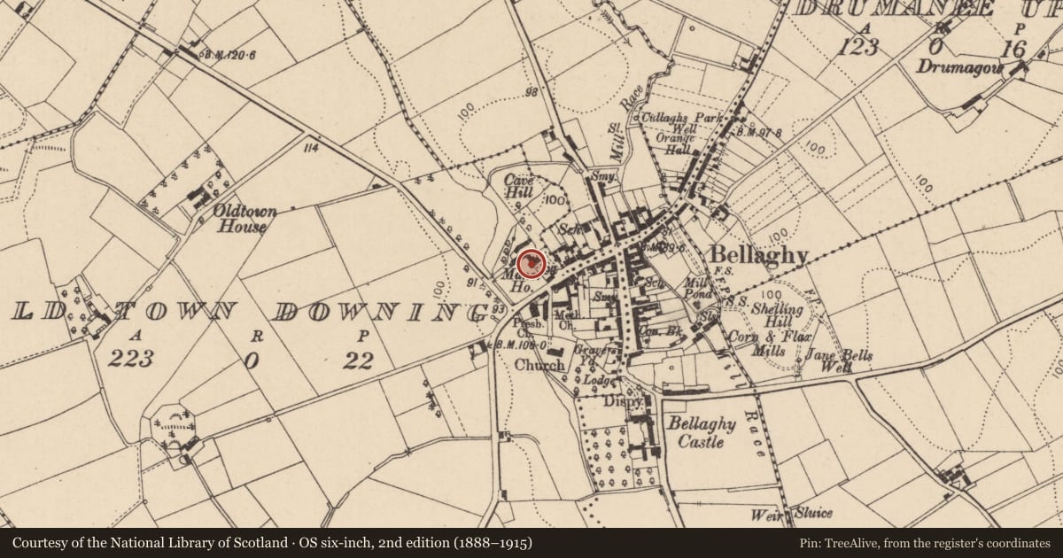Ordnance Survey six-inch map, 2nd edition (1888–1915) covering the location of Manor House, Mid Ulster, with a pin at the register's coordinates