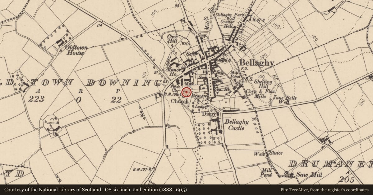 Ordnance Survey six-inch map, 2nd edition (1888–1915) covering the location of Downing Vault, Old Town Deer Park, Mid Ulster, with a pin at the register's coordinates