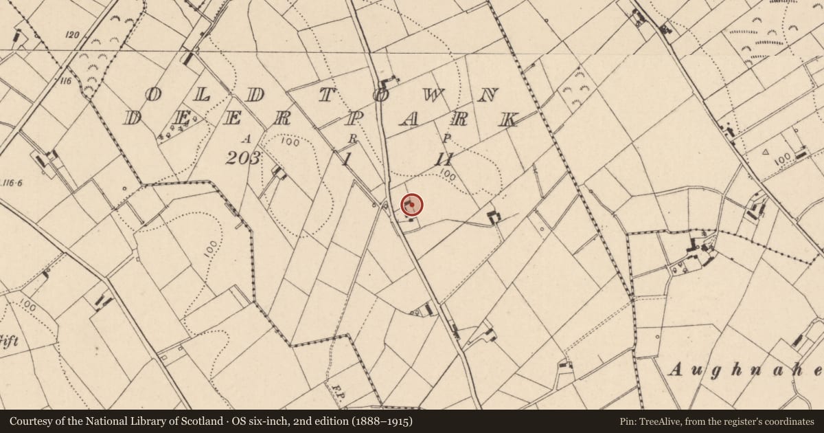 Ordnance Survey six-inch map, 2nd edition (1888–1915) covering the location of 28 Deerpark Road, Old Town Deerpark, Mid Ulster, with a pin at the register's coordinates