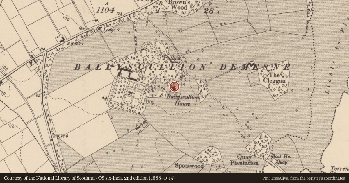 Ordnance Survey six-inch map, 2nd edition (1888–1915) covering the location of Ballyscullion Park, Mid Ulster, with a pin at the register's coordinates
