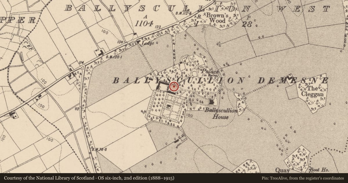 Ordnance Survey six-inch map, 2nd edition (1888–1915) covering the location of Stables And Courtyard Walling, Mid Ulster, with a pin at the register's coordinates