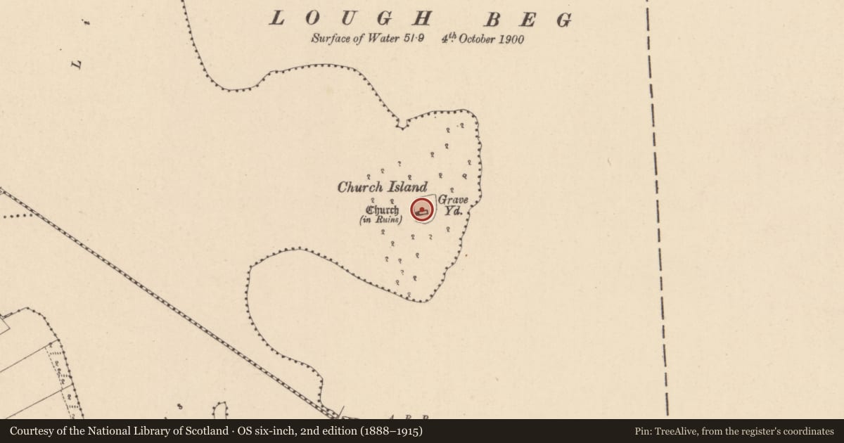 Ordnance Survey six-inch map, 2nd edition (1888–1915) covering the location of STEEPLE, Mid Ulster, with a pin at the register's coordinates