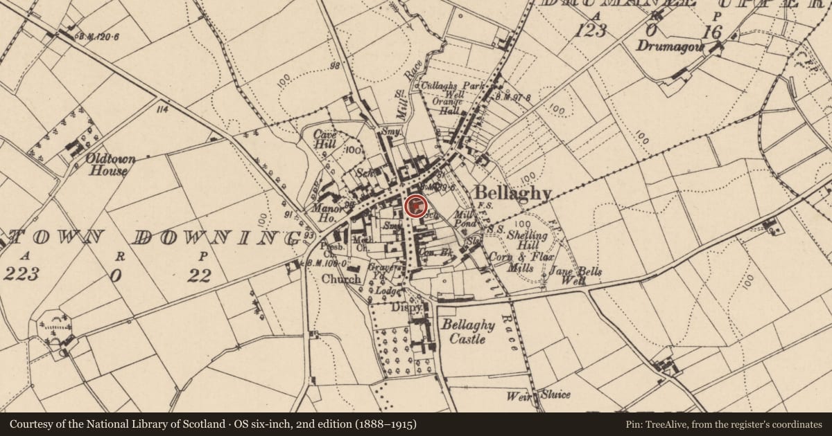 Ordnance Survey six-inch map, 2nd edition (1888–1915) covering the location of 12-14 Castle St., Mid Ulster, with a pin at the register's coordinates