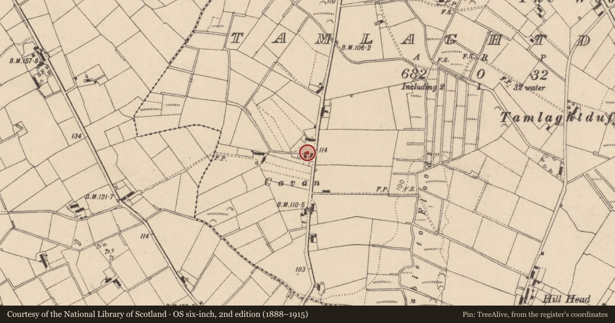Ordnance Survey six-inch map, 2nd edition (1888–1915) covering the location of 20 Tamlaghduff Road, Mid Ulster, with a pin at the register's coordinates