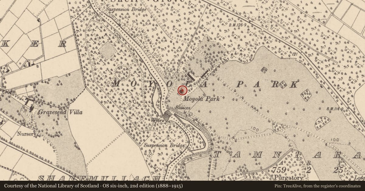 Ordnance Survey six-inch map, 2nd edition (1888–1915) covering the location of Moyola Park, Mid Ulster, with a pin at the register's coordinates