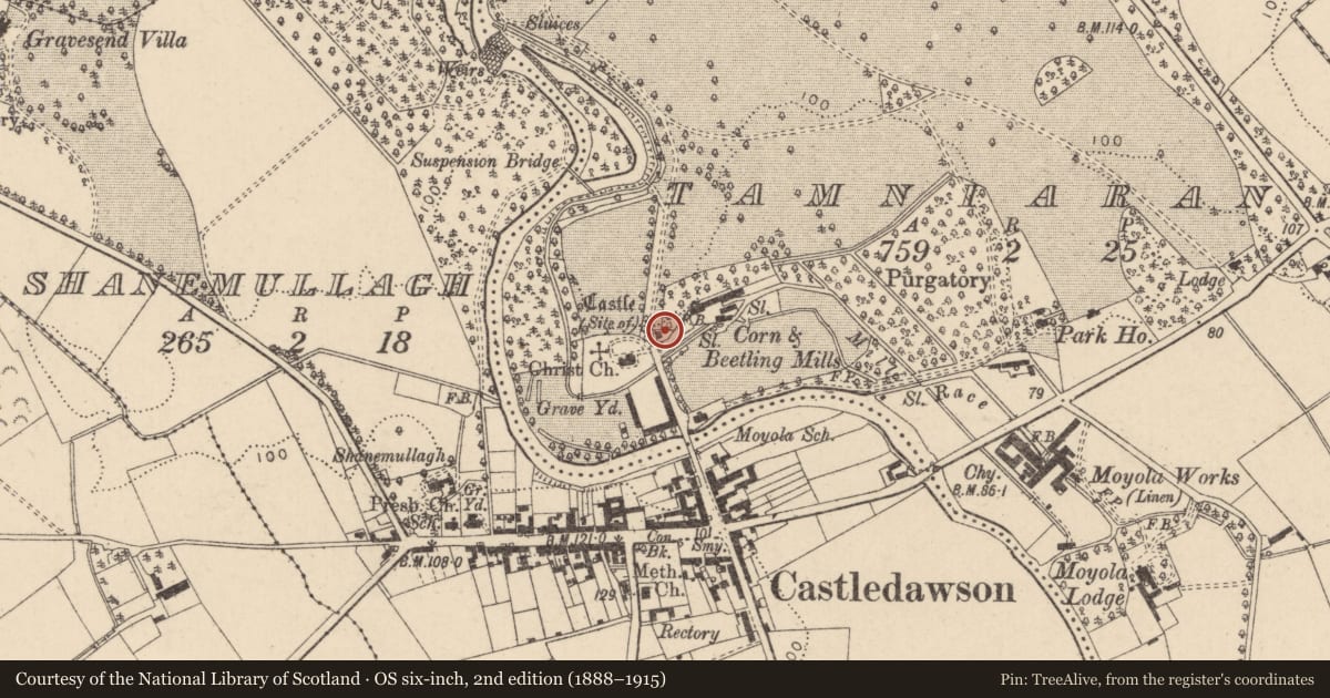 Ordnance Survey six-inch map, 2nd edition (1888–1915) covering the location of Lodge And Gates Of Moyola Park, Mid Ulster, with a pin at the register's coordinates